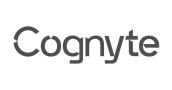 Cognyte